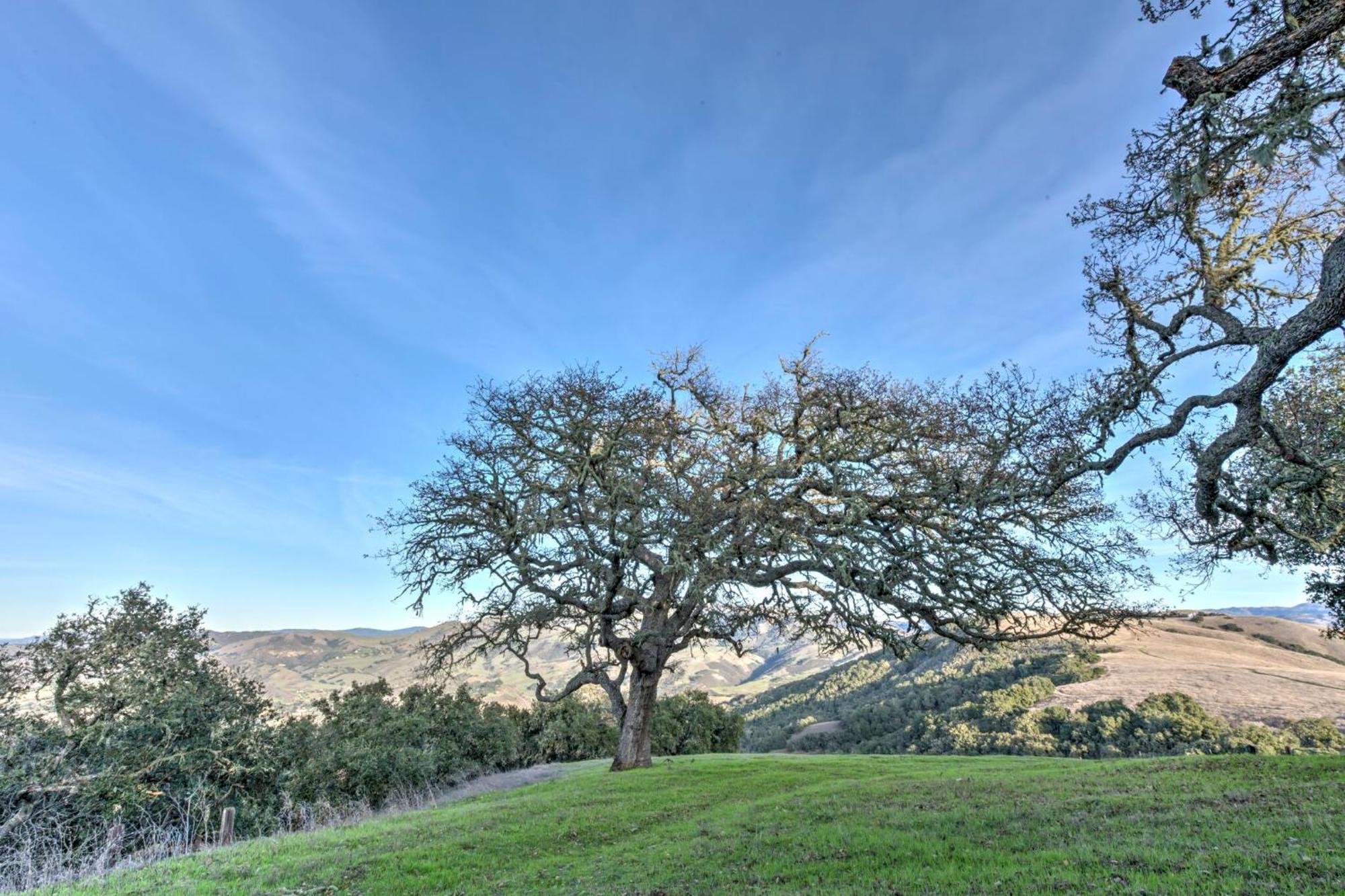 Lx37 Weathertop Ranch In Carmel Wine Country Carmel Valley Eksteriør bilde